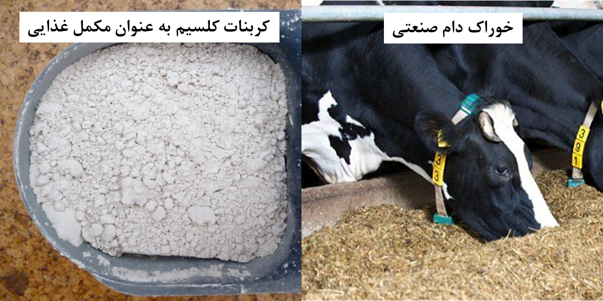 کاربرد کربنات کلسیم در خوراک دام