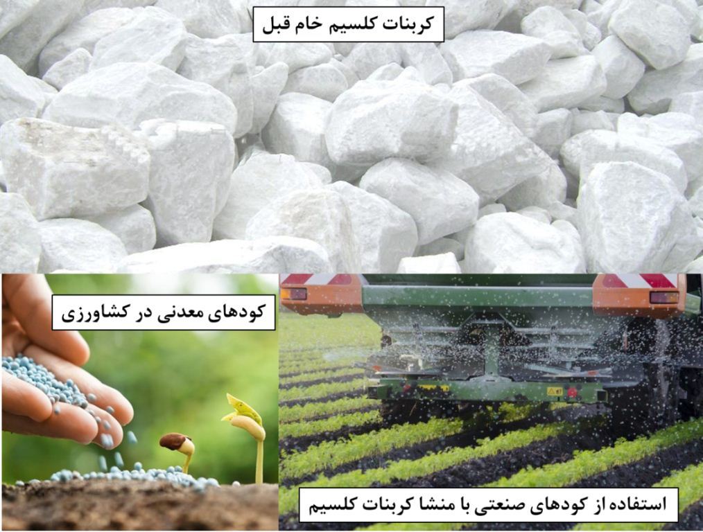 کاربرد کربنات در کشاورزی